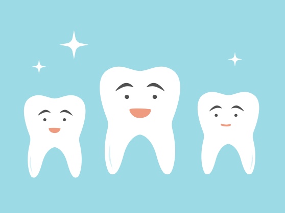 Dental plans for individuals and families